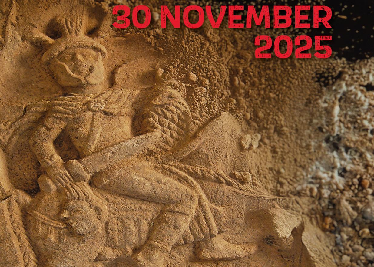 Insus Poster A4 Small 1746967128