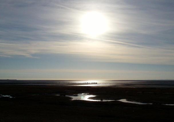 Hest Bank 1