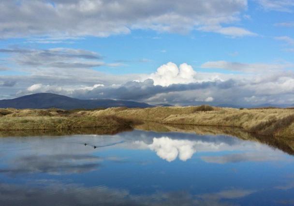 North Walney Black Combe