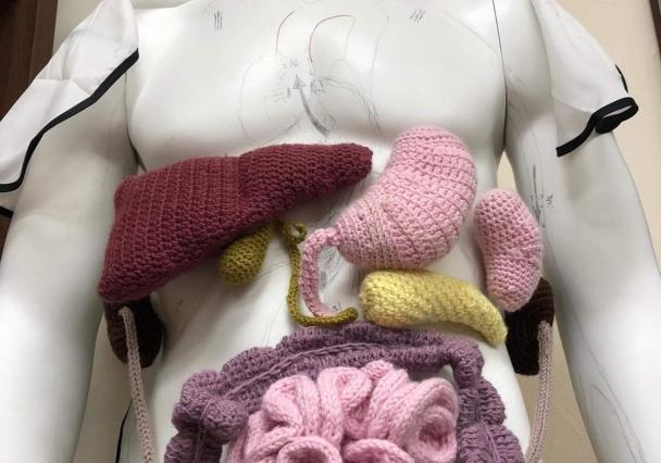 Northern Yarn 5