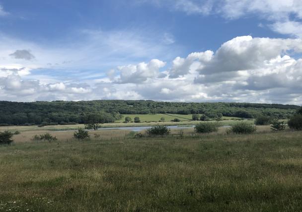 Leighton Moss Scaled