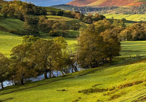One Of The Best Views In The Forest Of Bowland Credit To S Adair