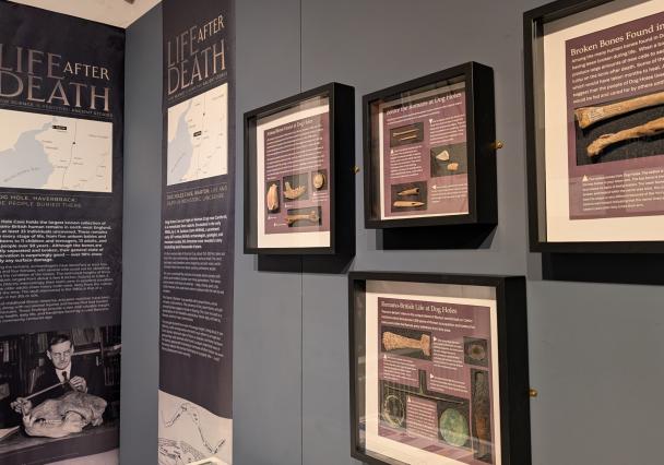 Pxl 20251207 124159206