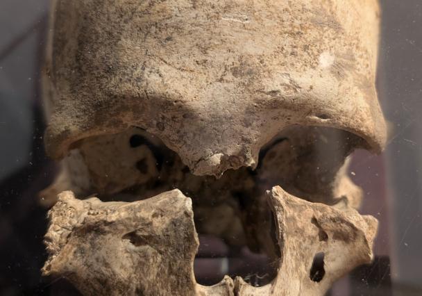 Pxl 20251207 124242024