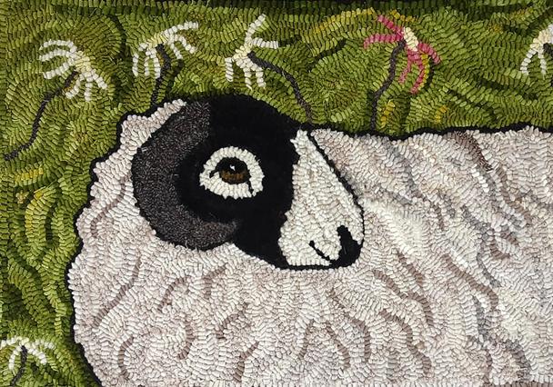 Sheep Rug By Jane Cook