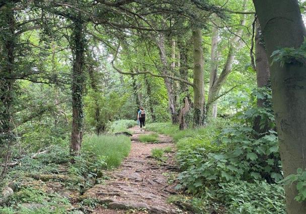 Silverdale Image By Mark Sutcliffe 1 