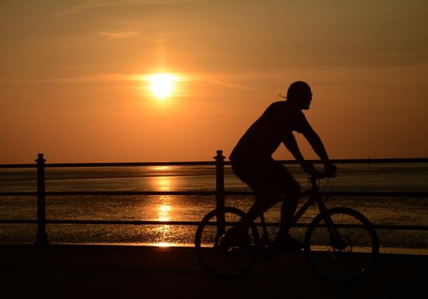 Bay Cycle Way2