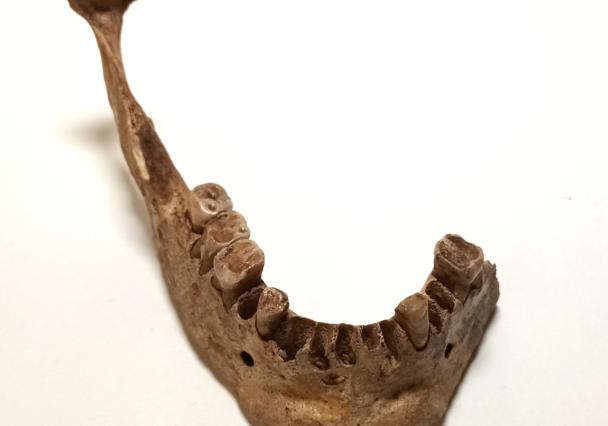 Warton Lanlm 1945 17 