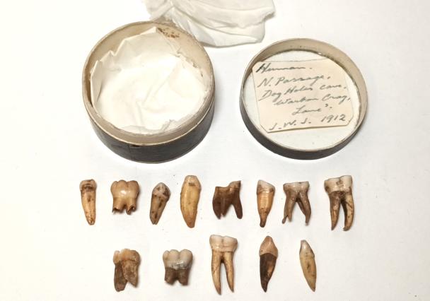 Warton Lanlm 1945 67 