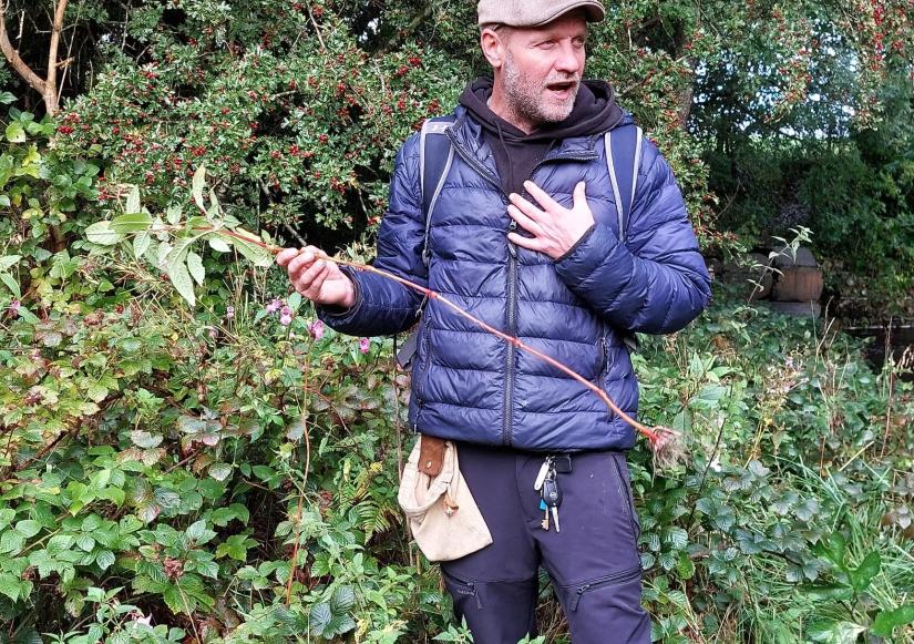 Wild Food Exploration4